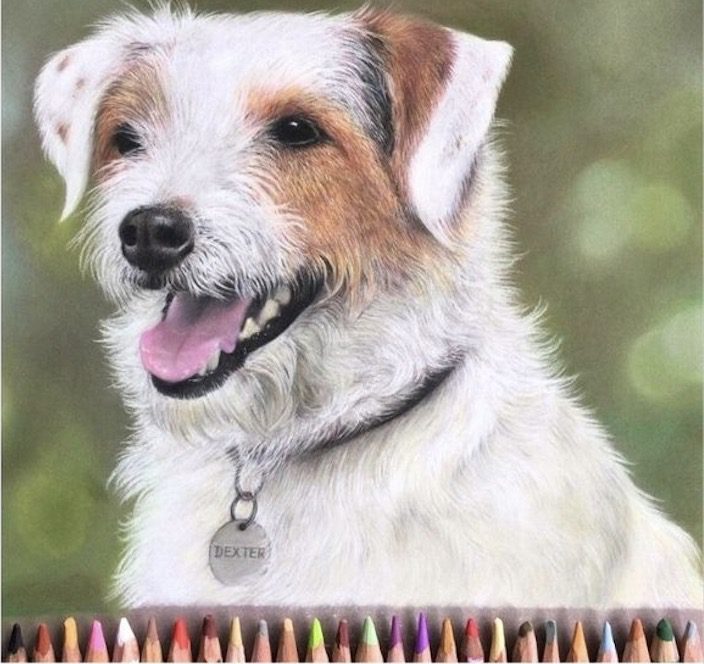 Tamsin Dearing Draw Together artwork of dog