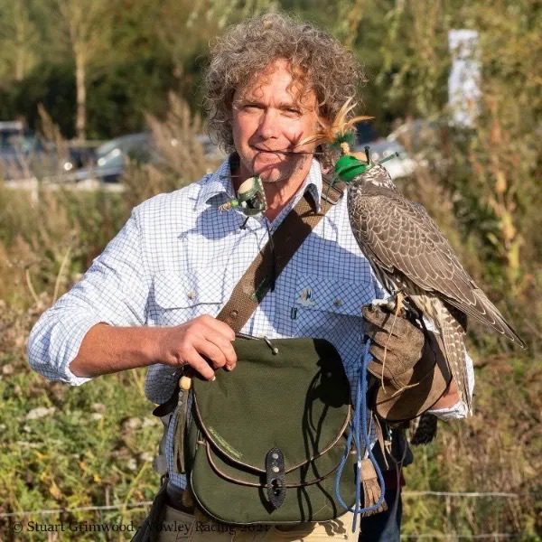 Bird of Prey at Cornwall Falconry